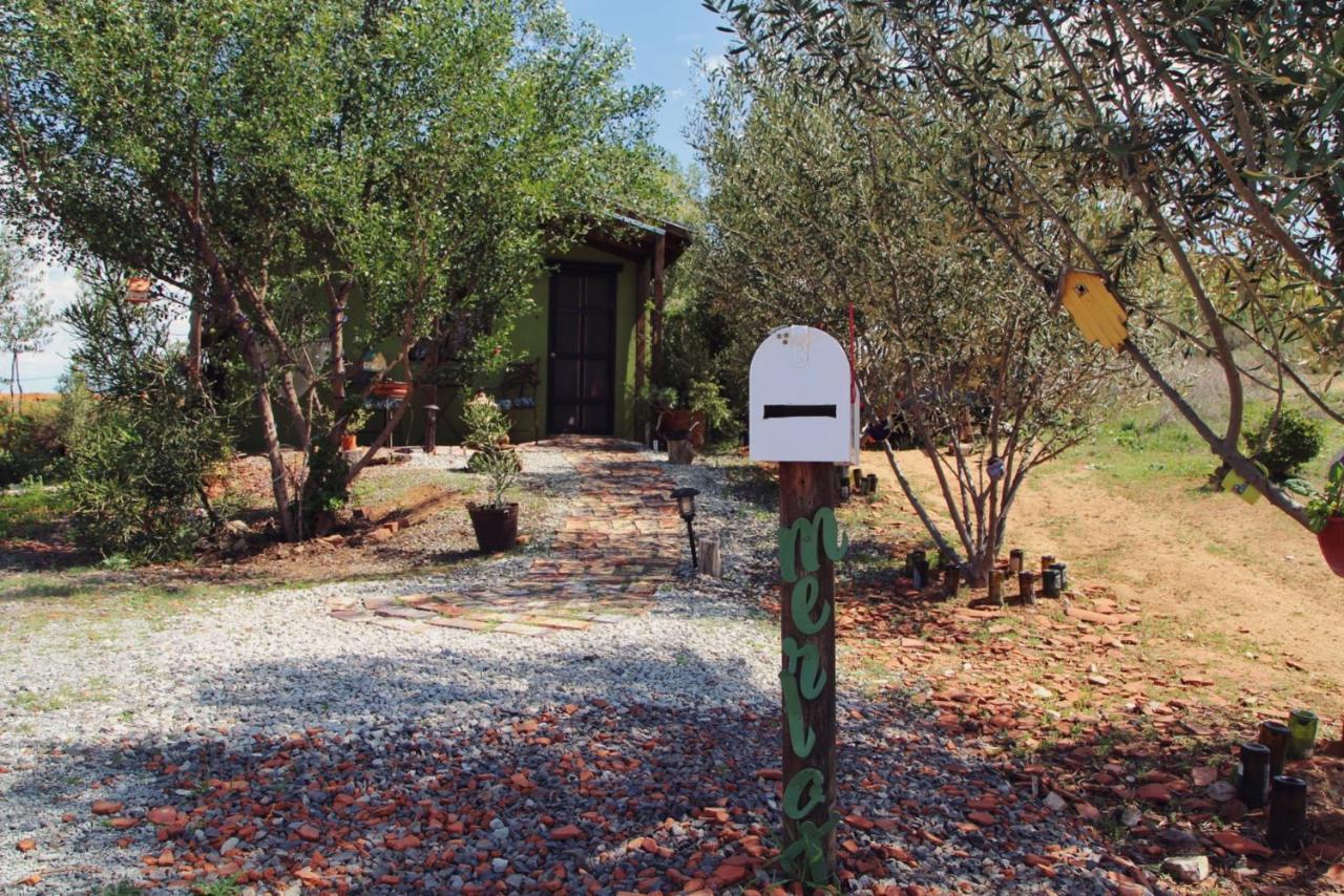 Posada San Antonio Valle de Guadalupe Exterior foto